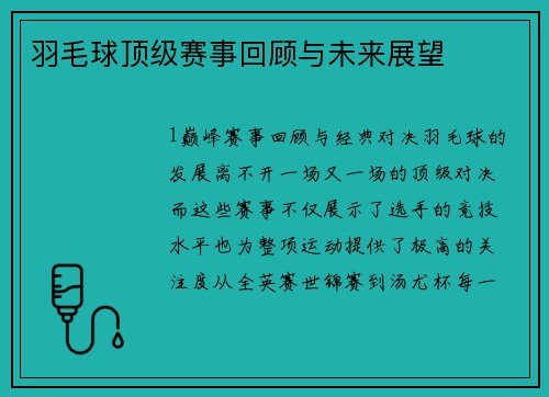 羽毛球顶级赛事回顾与未来展望